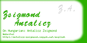 zsigmond antalicz business card
